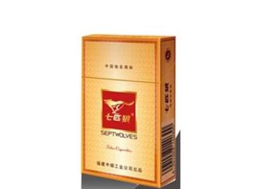 国外烟花作品