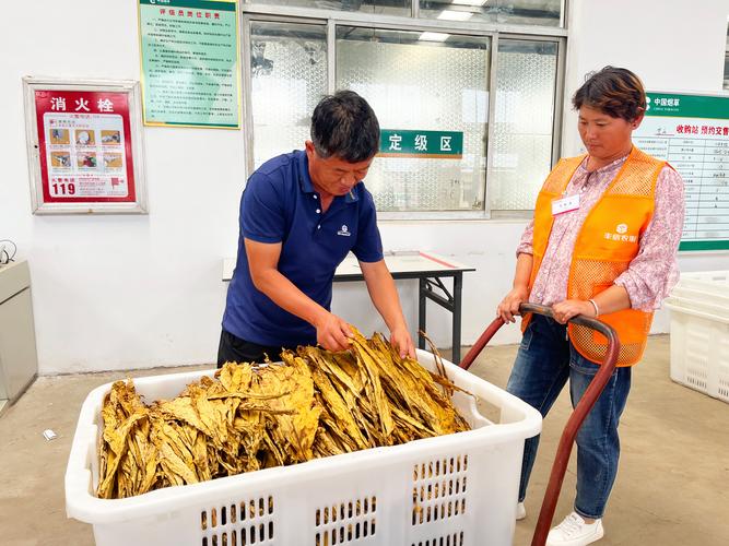 品味传承，财富增值——莱芜高端香烟回收市场解析与投资指南